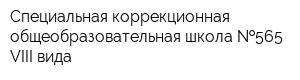 Специальная коррекционная общеобразовательная школа  565 VIII вида