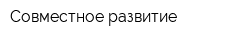 Совместное развитие