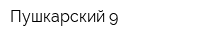 Пушкарский 9