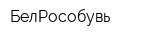 БелРособувь