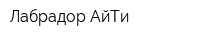 Лабрадор АйТи