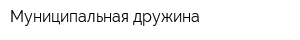 Муниципальная дружина
