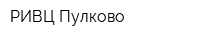 РИВЦ-Пулково