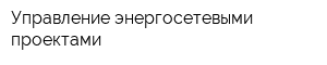 Управление энергосетевыми проектами