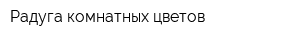 Радуга комнатных цветов