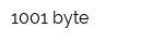 1001 byte