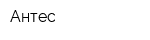 Антес