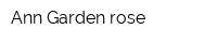 Ann Garden rose