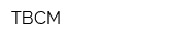 ТВСМ