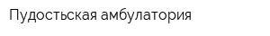Пудостьская амбулатория