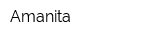Amanita