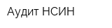 Аудит-НСИН