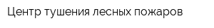 Центр тушения лесных пожаров