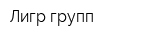 Лигр групп