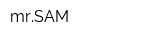 mrSAM