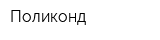 Поликонд