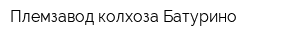 Племзавод колхоза Батурино