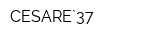 CESARE`37