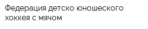Федерация детско-юношеского хоккея с мячом