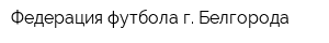 Федерация футбола г Белгорода