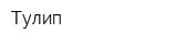 Тулип