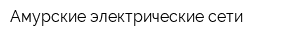 Амурские электрические сети