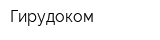 Гирудоком