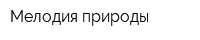 Мелодия природы