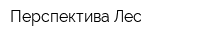 Перспектива Лес
