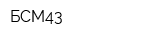 БСМ43