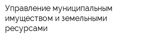 Управление муниципальным имуществом и земельными ресурсами
