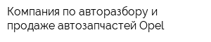 Компания по авторазбору и продаже автозапчастей Opel