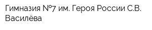 Гимназия  7 им Героя России СВ Василёва