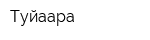 Туйаара