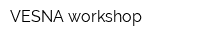 VESNA workshop