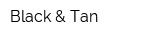 Black & Tan