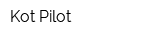 Kot Pilot