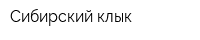 Сибирский клык