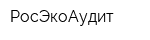 РосЭкоАудит