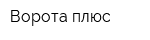 Ворота плюс