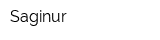 Saginur