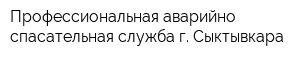 Профессиональная аварийно-спасательная служба г Сыктывкара