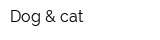 Dog & cat