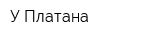 У Платана