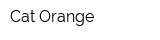 Cat Orange