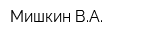 Мишкин ВА