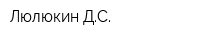 Люлюкин ДС