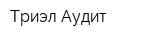 Триэл-Аудит