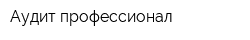 Аудит-профессионал