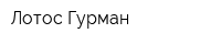 Лотос Гурман